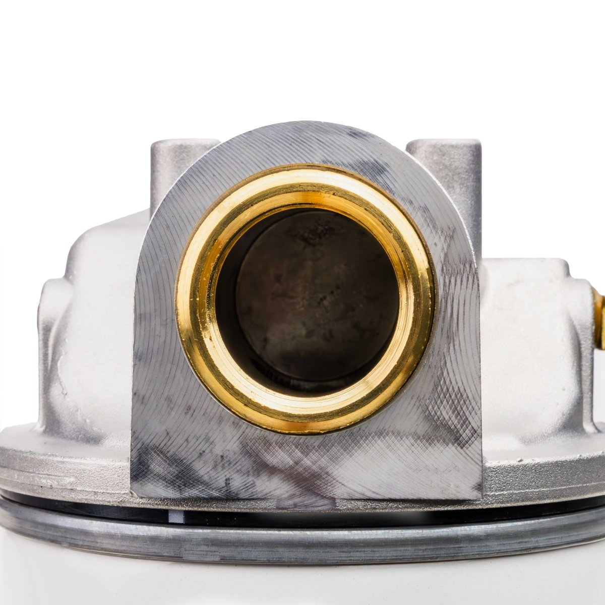 ADAM BY PIUSI Filter DN25 (1") BSP F 100lpm with Pressure Gauge Particulate and Water Removal - GO Fill