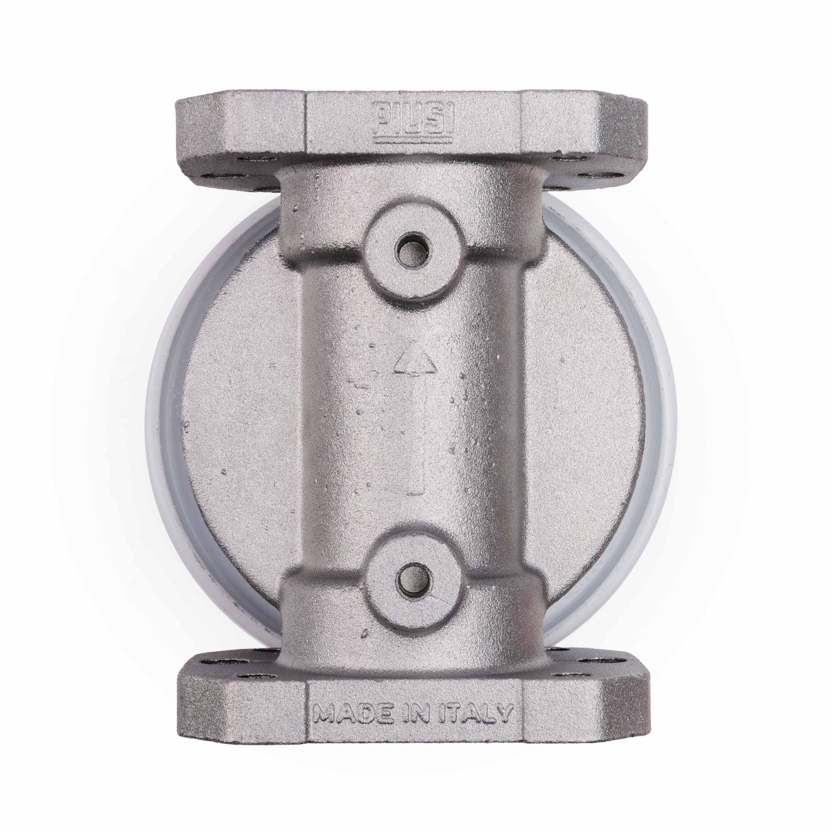 PIUSI Filter Assembly DN25 1" with 10um Particulate Element 60lpm - GO Fill