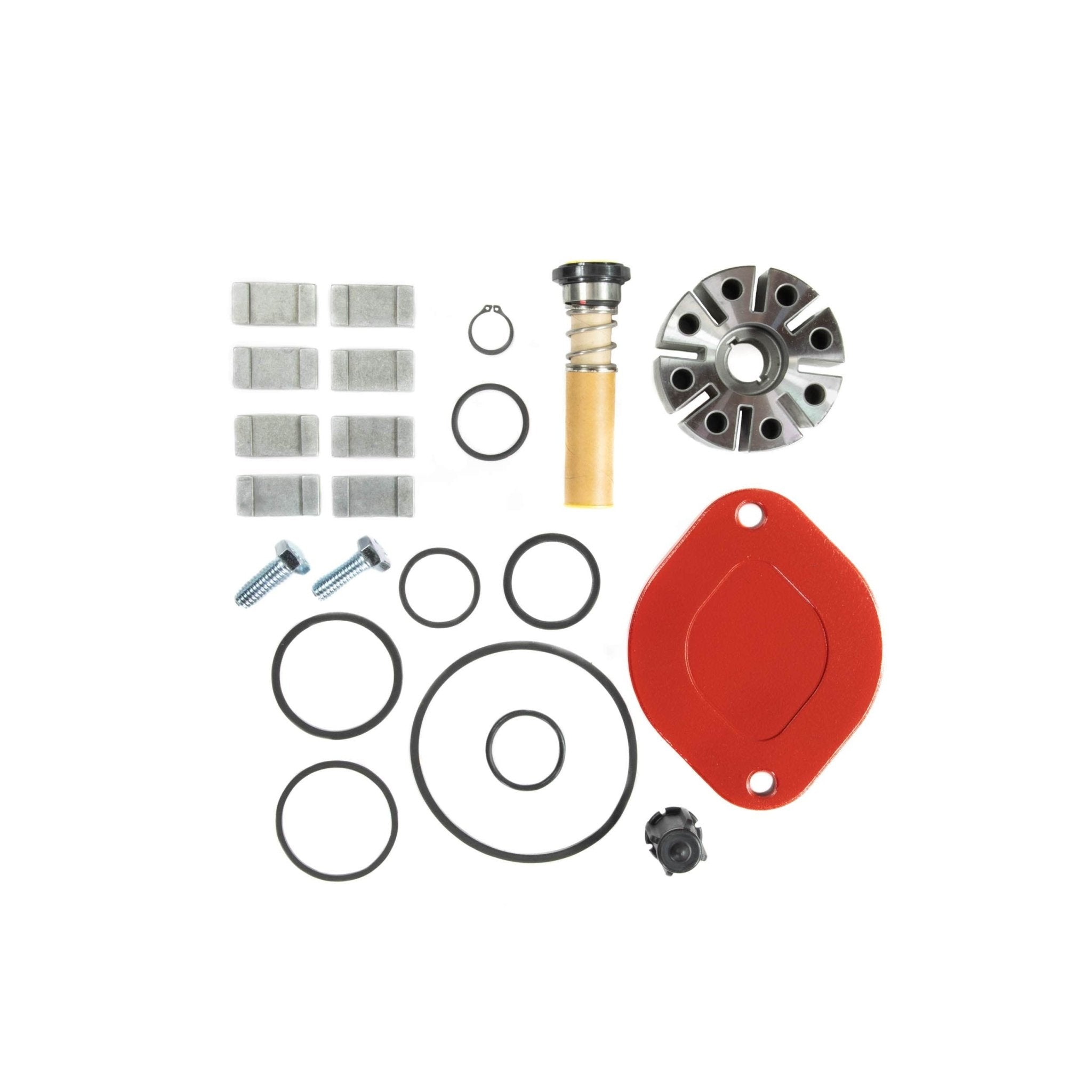 Fill - Rite 700 Series Pump Kit 240V AC 76lpm Rebuild Kit · R1700KTF2659 - GO Fill