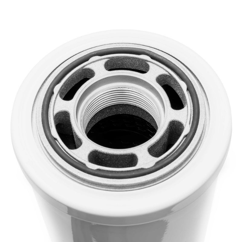 GO Filter Element 6µm Particulate - GO Fill